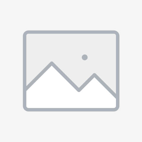 ПЛИНТУС STATUS